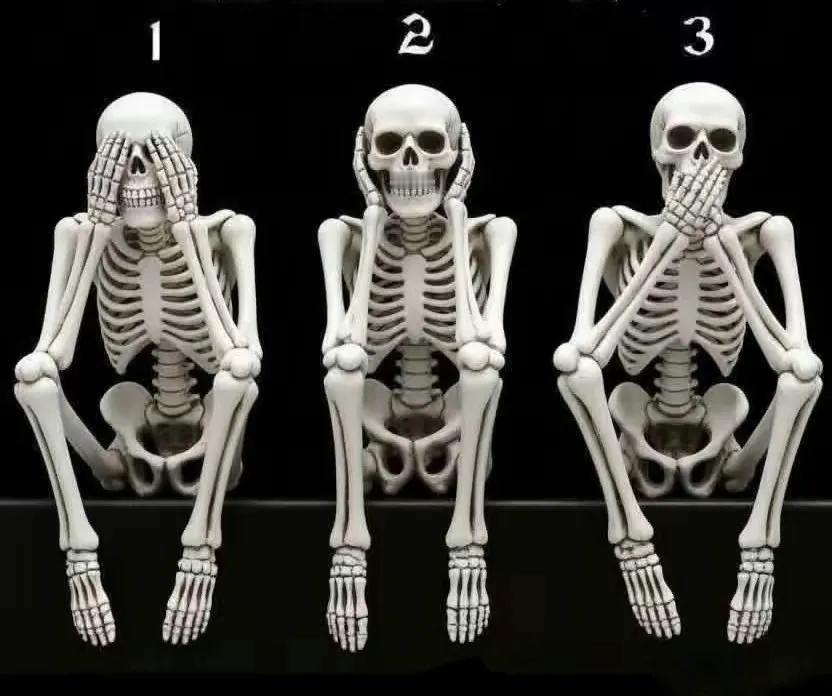 这里3副人体骨架模型，其中有一副是女性。老铁们，您能猜出是哪个女性吗？