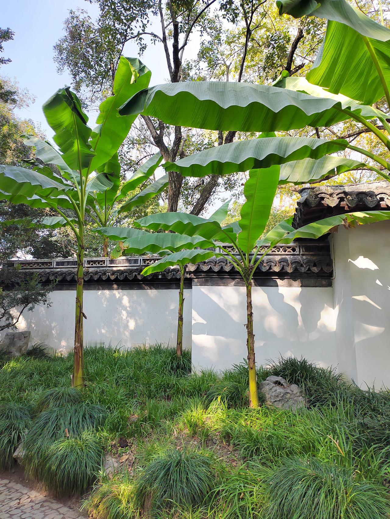 我们楼里有户邻居在闹离婚，双方都不想要读中学的孩子，而且父母各自都有了新恋人。