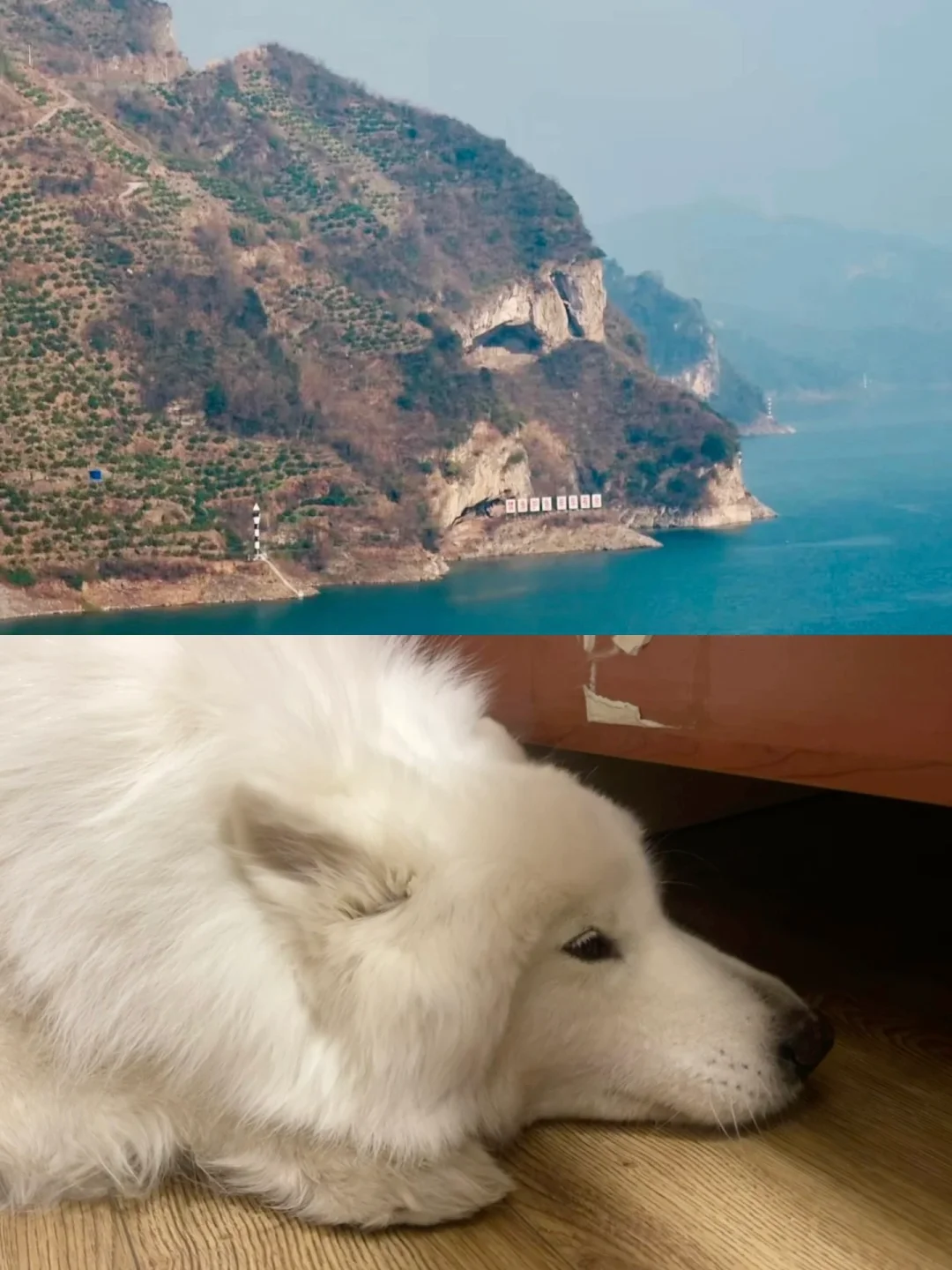 左滑看小狗山正面