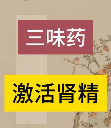 一个生精方，仅需3味药，激活肾精，改善房事状态！

肾精是生命之本，咱们的生殖、