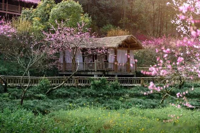 #讲中国诗词文化#
中国文化之美，无法超越的诗词。
觉得这些诗词真美，美到令人词