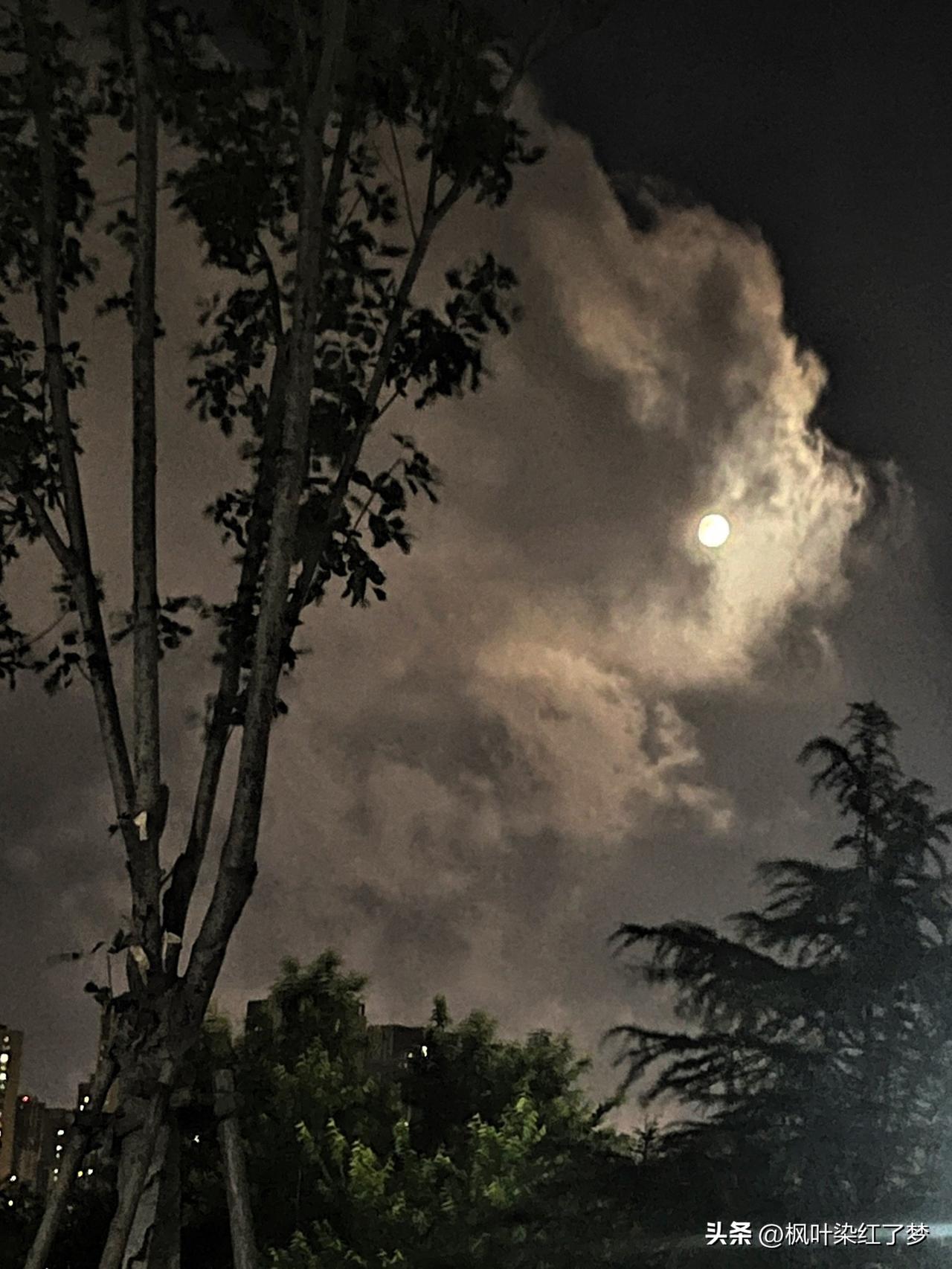夏日里的夜晚，白云与月亮赛跑。
