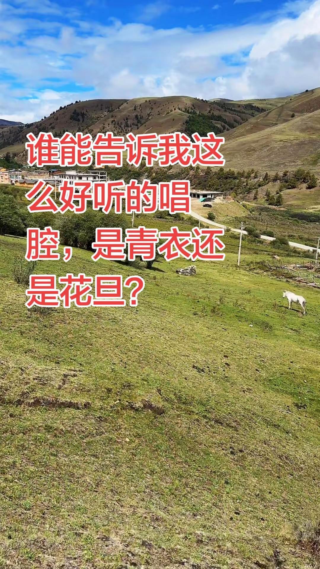 这么好听的唱腔，是青衣还是花旦？