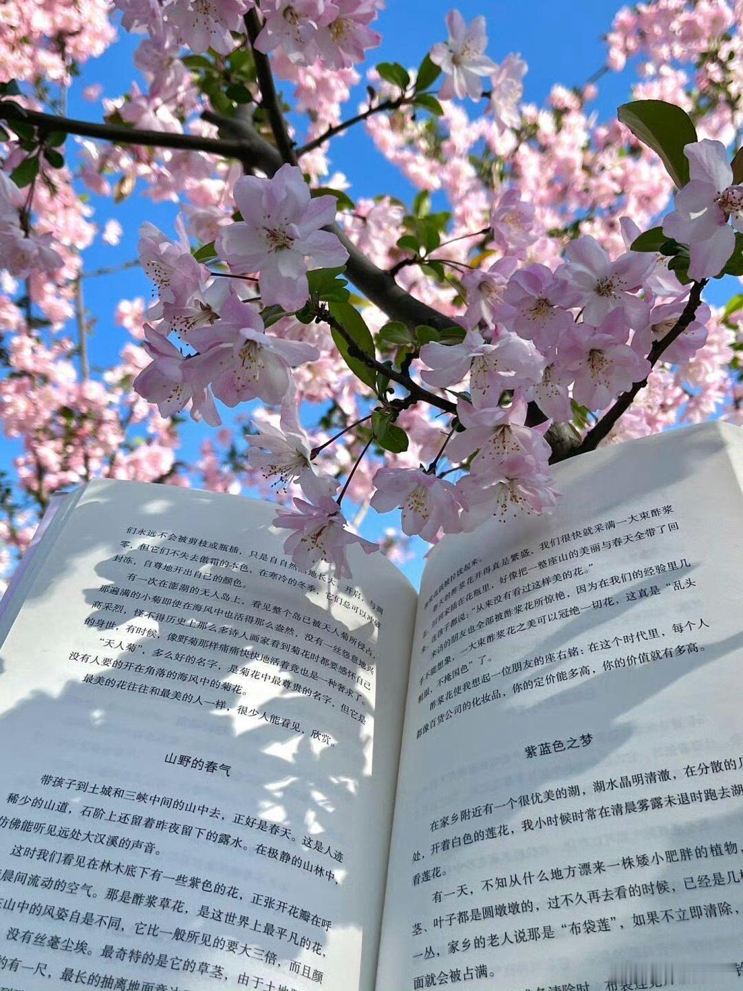 我的私人宝藏书单书评读书滋养气质 世界正在我眼前自行展开，我觉得我能去任何地方，