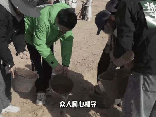 武威民勤的绿色进度条更新了草木微光筑牢生态防线民勤梭梭长势更新绿色进度条，细枝深