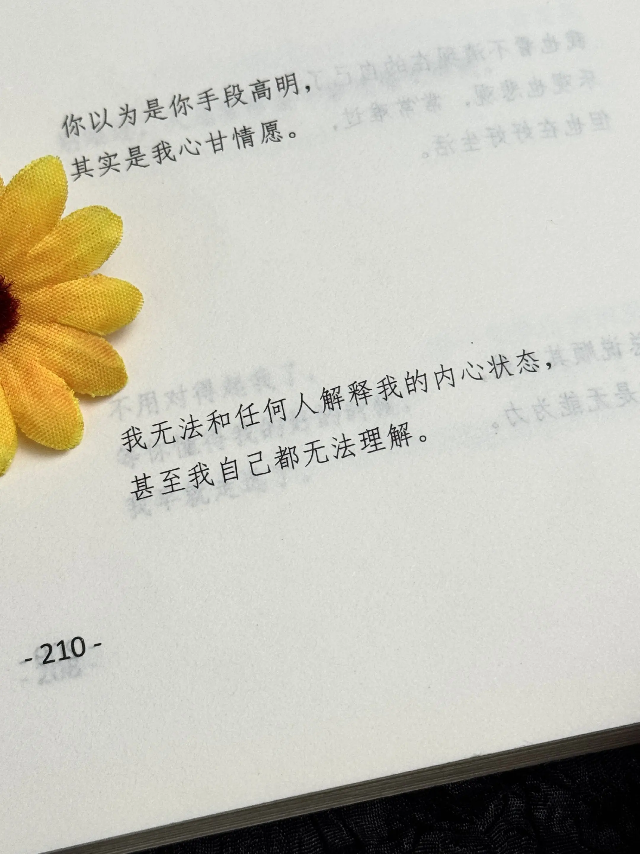 我一读再读却不得不承认青春是本太仓促的书