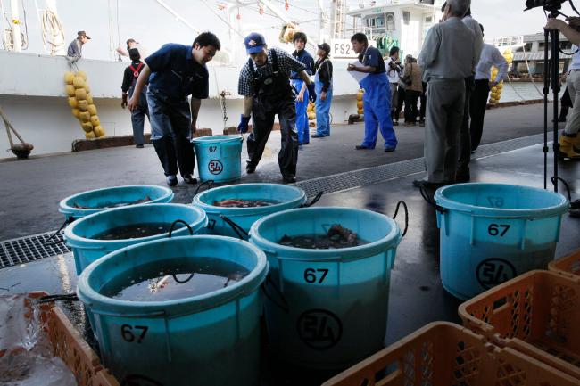 高市早苗收到噩耗，中国再停日本水产品进口，日方措手不及

11月19日，日本政府