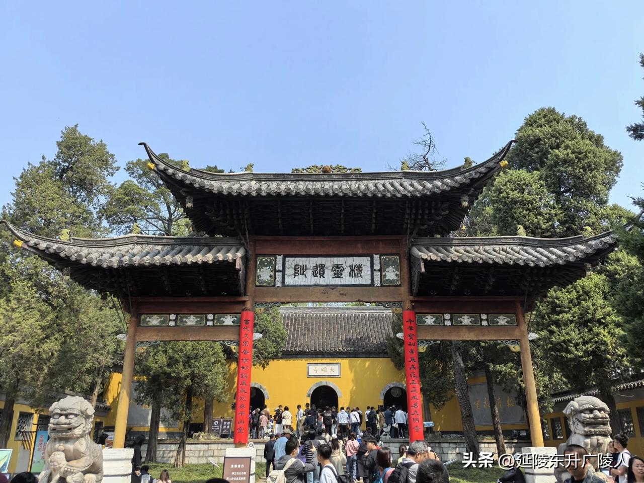 烟花三月下扬州，
平山堂前人如流。
清明假期的扬州，渐渐迎来全球游客高峰期，路过