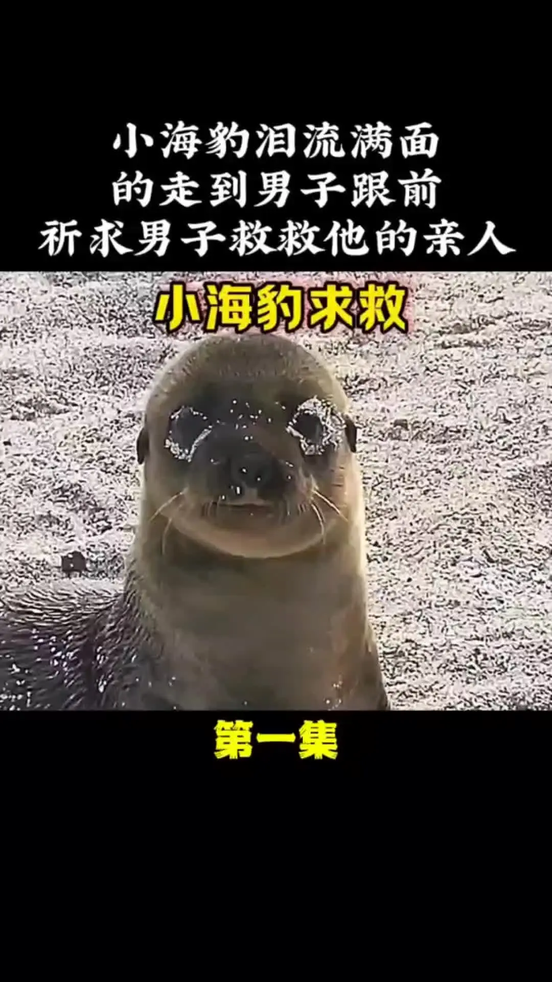 我的观影报告 内容启发搜索
