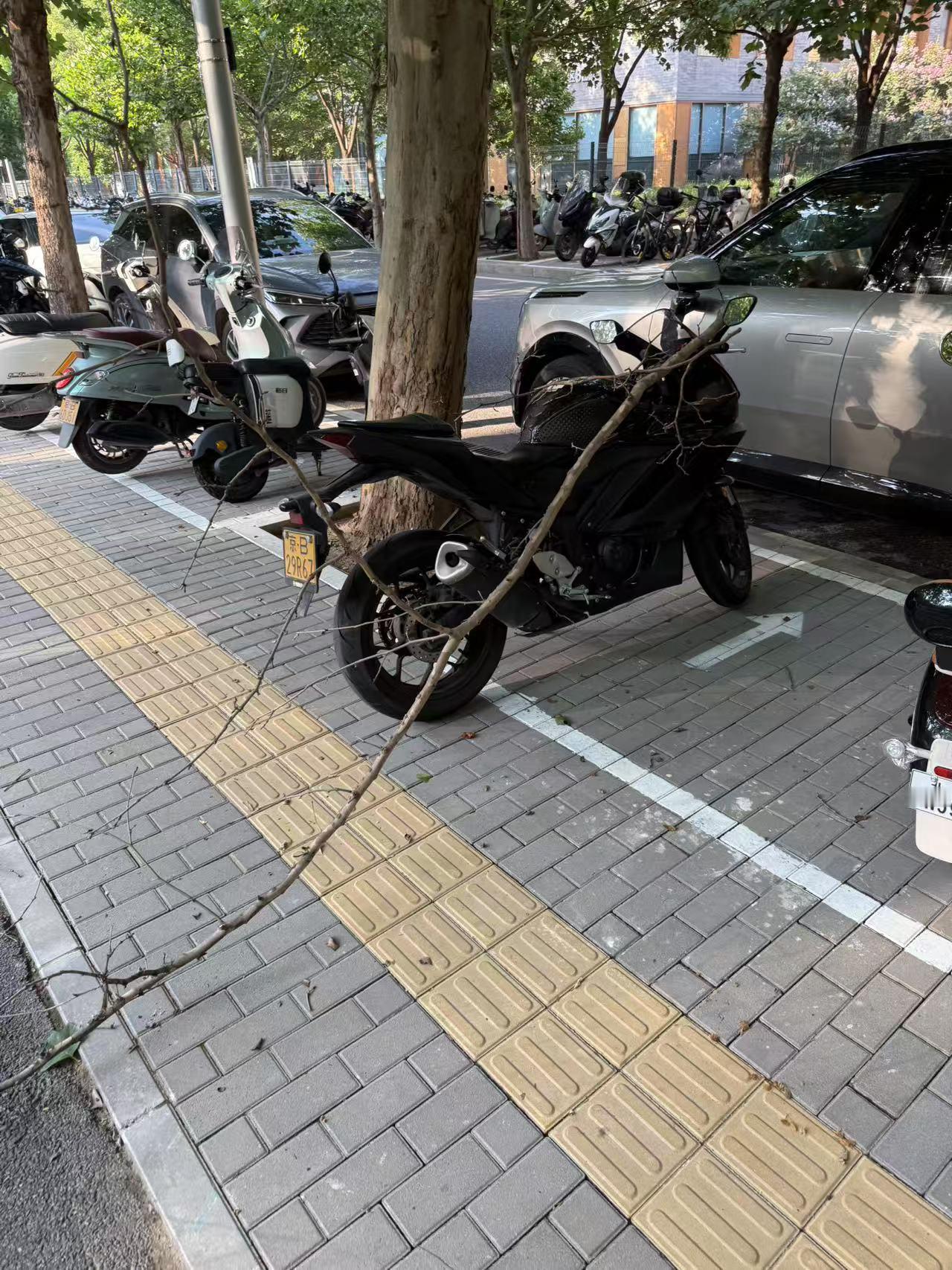 车若初见[超话] 路上看见的。。太倒霉了吧 ​​​