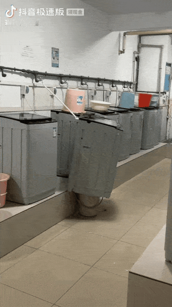 在这个世界上，不管是人呢，动物啊，总有一些不合群的，看看这个洗衣机也是特立独行，