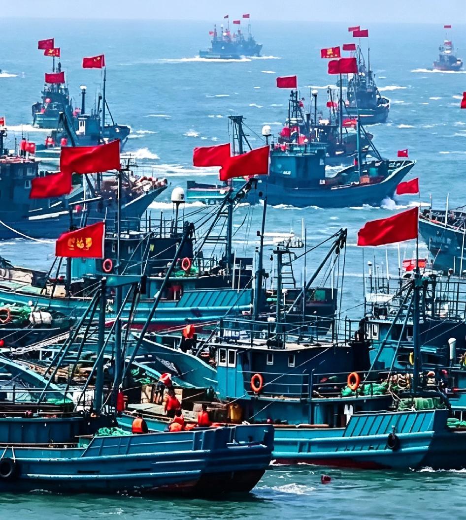 祖国母亲为护我们周全，封海47天。她一个人对抗九个国家，他们是美国，日本，加拿大
