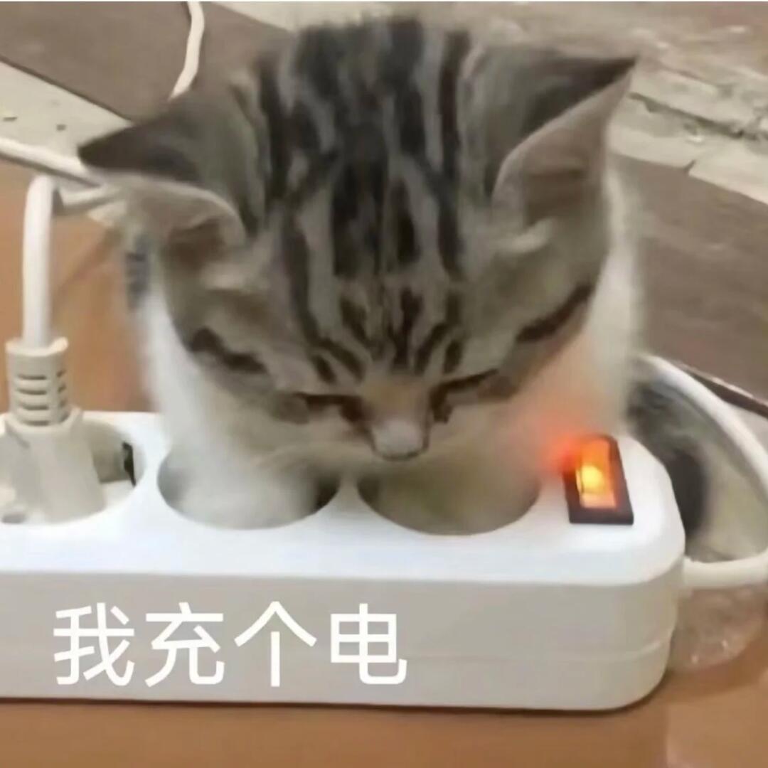 猫猫表情包 