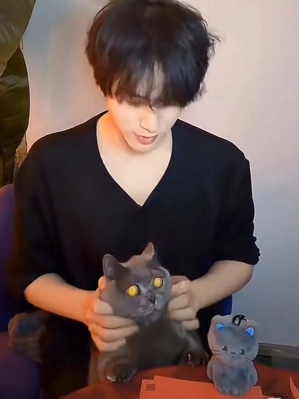 💛💙应援色get 