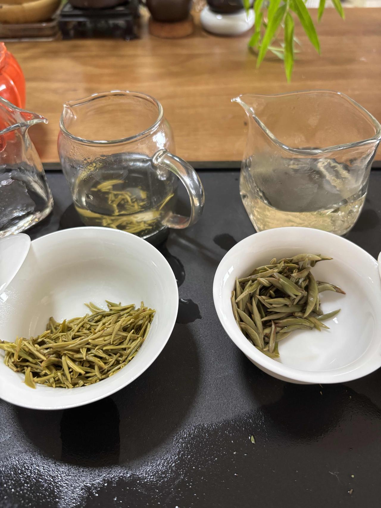 绿茶碧螺春🆚福鼎白茶
今年春天刚刚做好的绿茶碧螺春：
   芽头特别幼嫩，特别