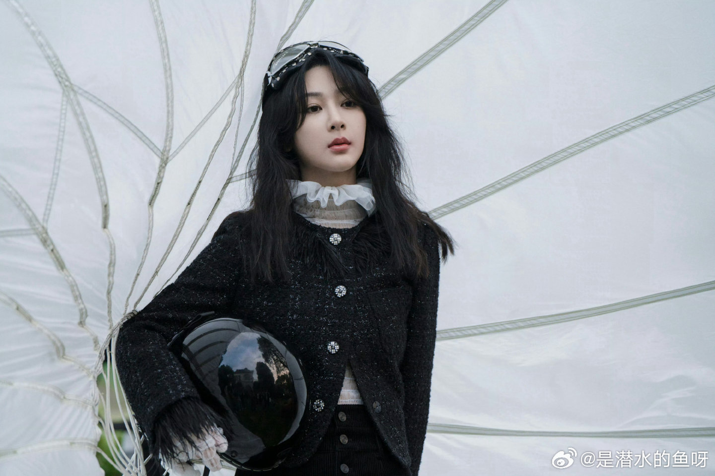 生命树 yz杨紫白菊yz杨紫生命树你是字里行间的隐喻，藏在开头，躲在结尾，断句里