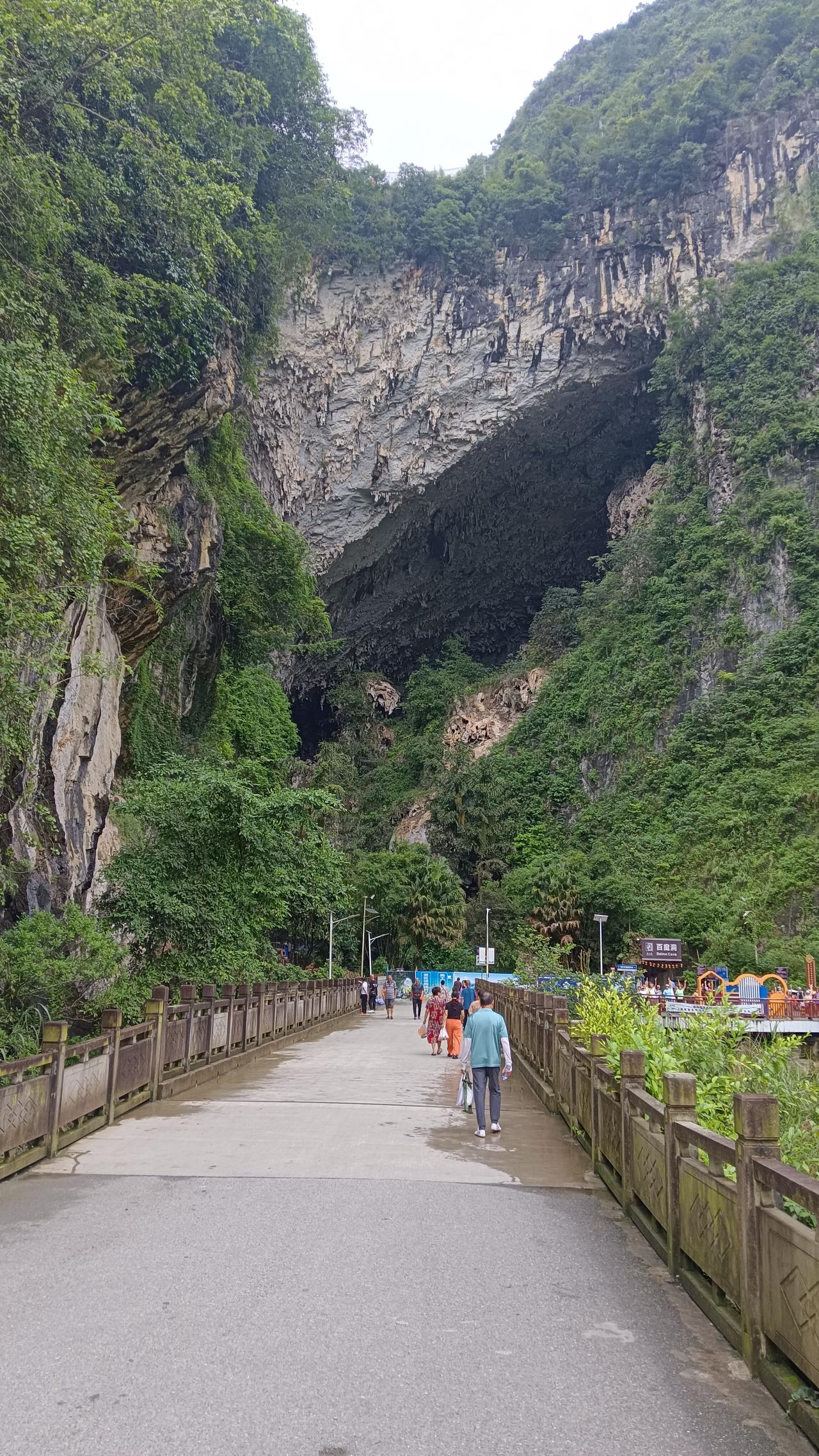 巴马这个百魔洞有地磁力。巴马百魔洞的地磁强度核心数值为‌约0.58高斯‌，是国内