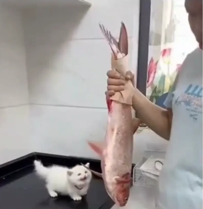 邪恶魔王