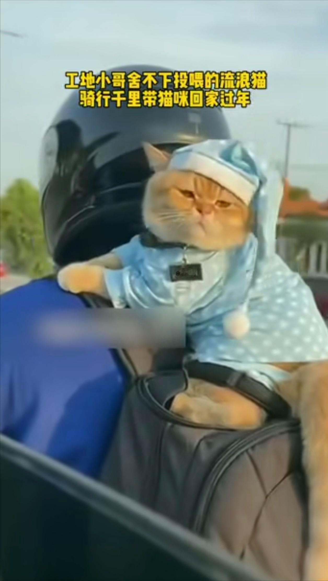 [太阳]1月18日报道，一男子回家过年时，由于放心不下在工地上喂养的流浪猫，担心