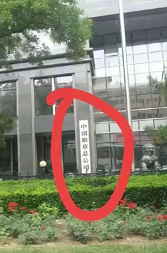 读什么大学才有机会进这家公司工作？[what]