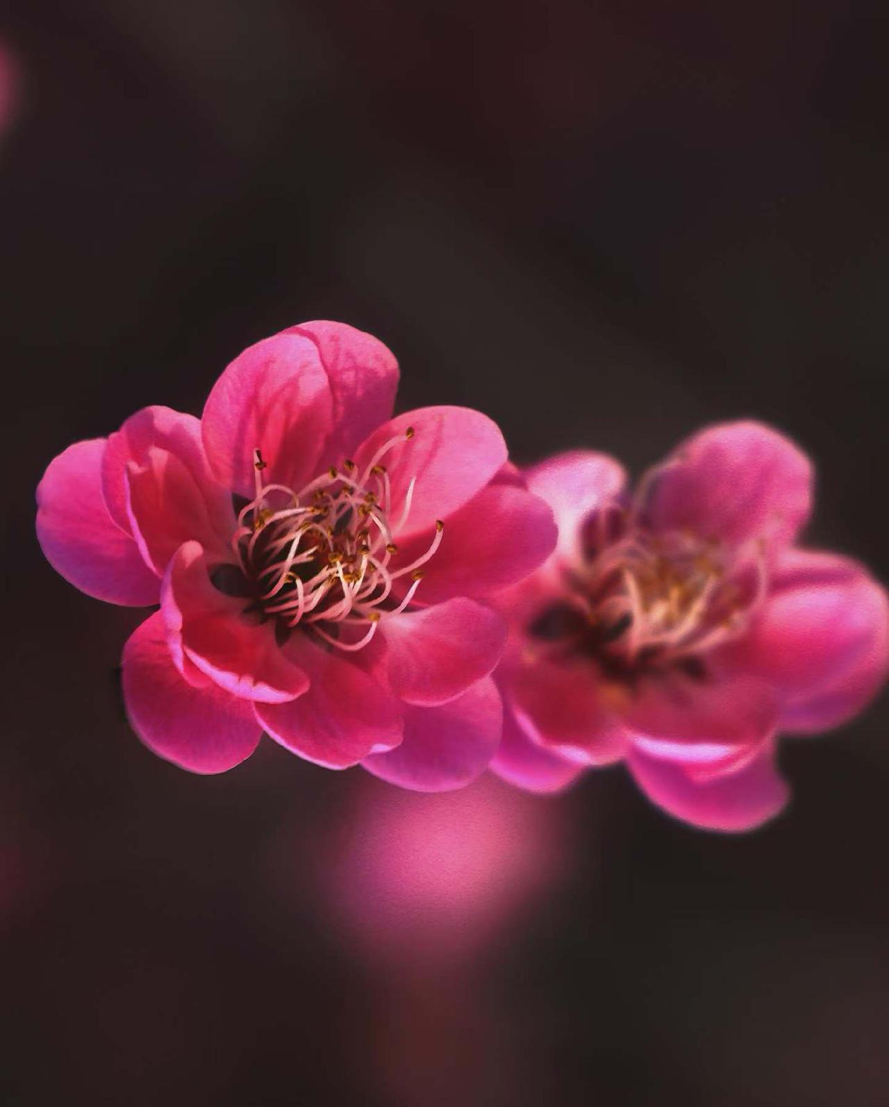 今天A股开盘，会不会开门红？
会开门红的，评论区打1！
不会开门红的。评论区打2