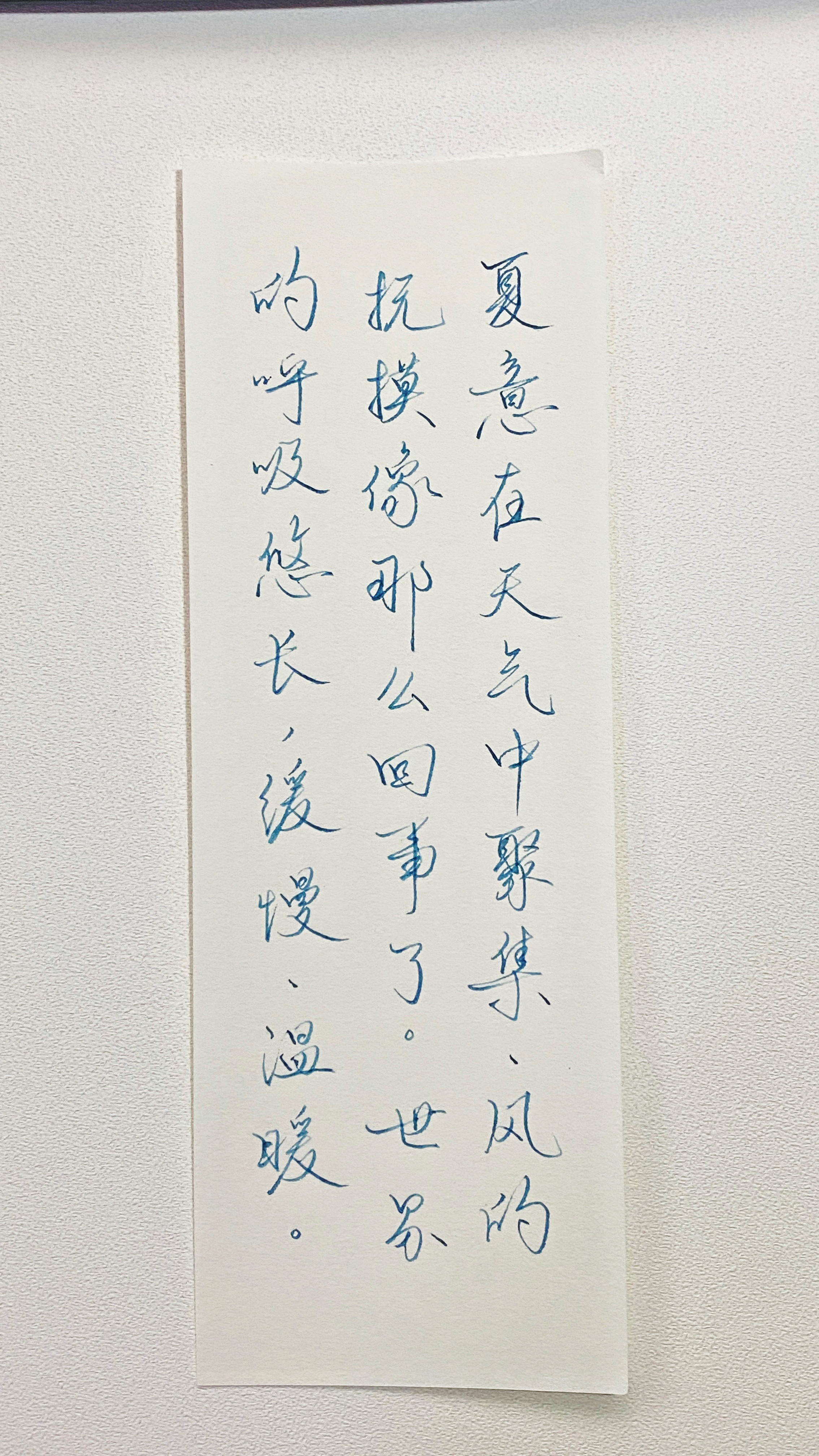 今日作业（2026.8.2）夏意在天气中聚集，风的抚摸像那么回事了。世界的呼吸悠