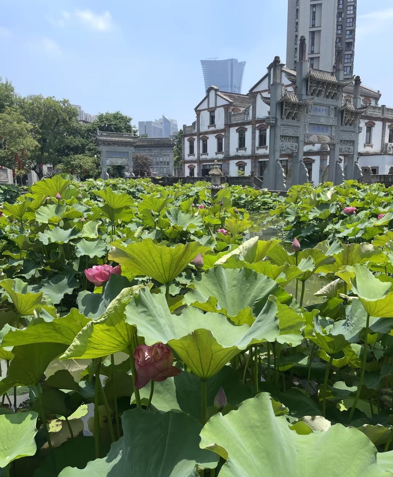 每日生活随手记 

我们公司技术部，前年空降个新来的姑娘，叫小林。长得不算扎眼，