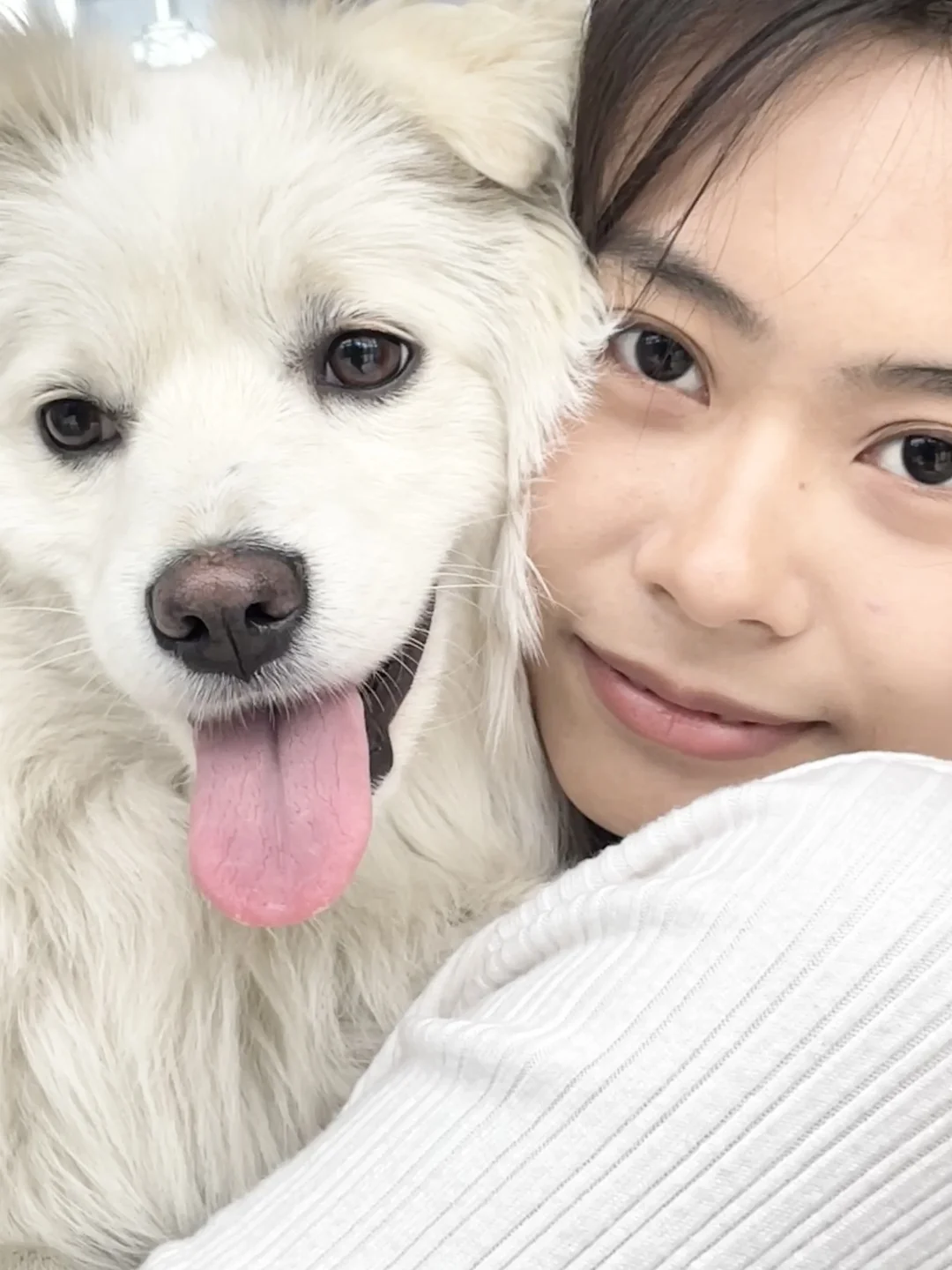 还是没忍住！向全世界分享这个……