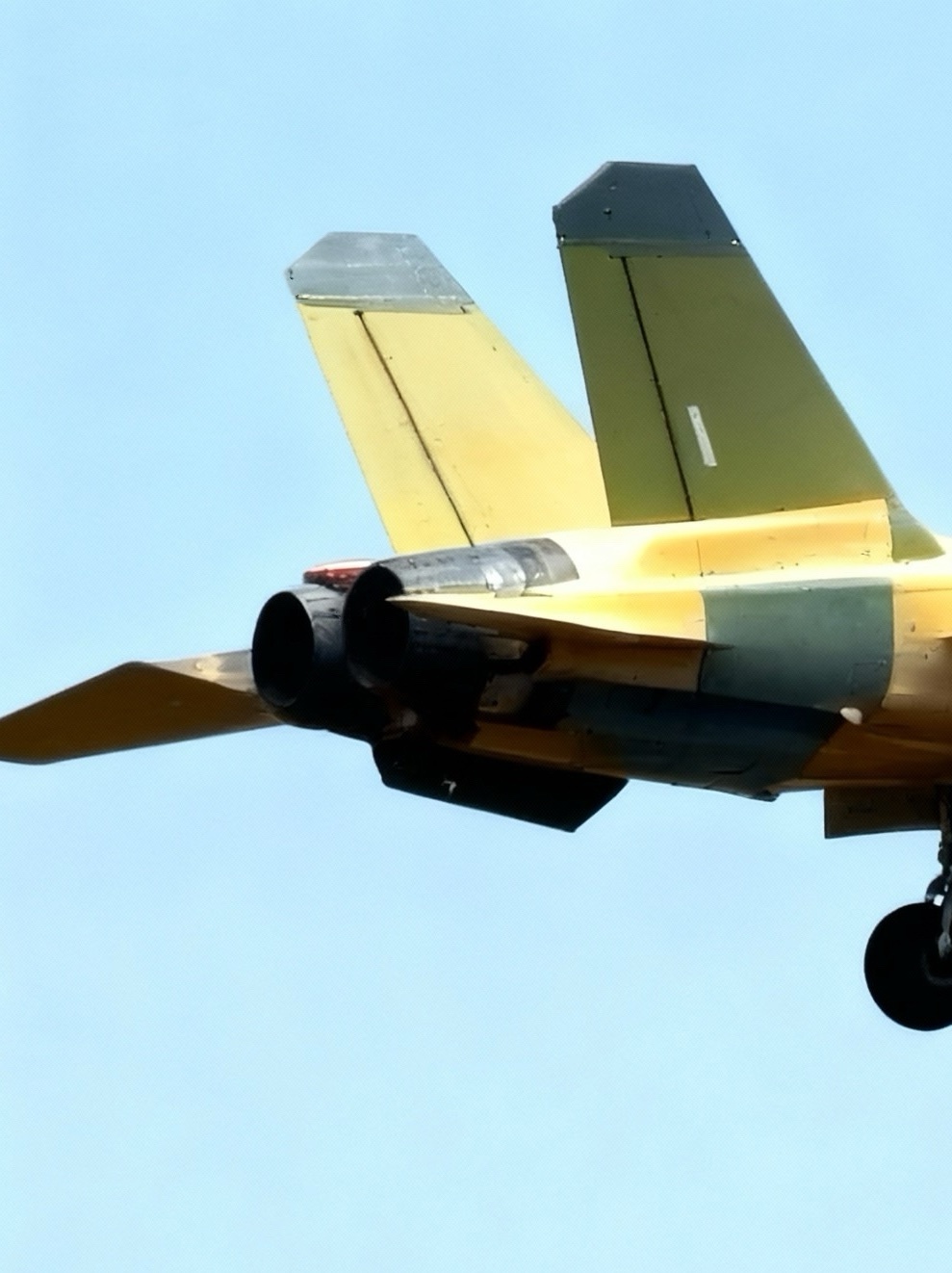 小黄蜂，比之前的清晰： ​​​