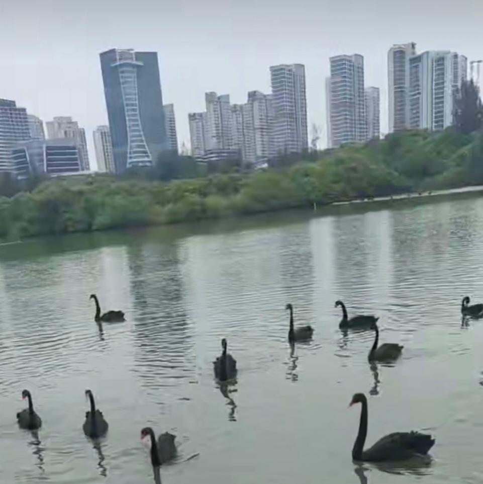 遇见·懂得

认识一个人，从来无关时间长短。
有些人，相处数年，依旧仿若隔着千山