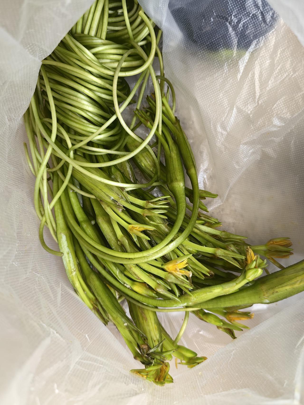 水性杨花，本来是一种很好吃的野菜。却有人给它起一个这样的名字。
第一次到昆明才知