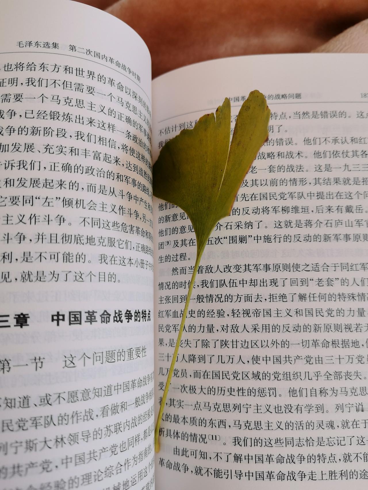 关于读毛选的若干看法
这套书上个世纪五十年代初期开始出版，每个年龄段的读者都有，