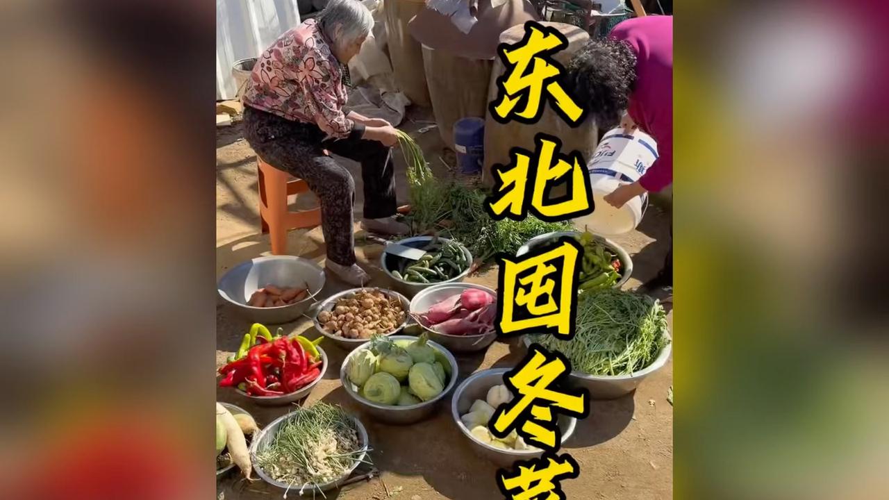 带你们看看东北入冬能囤多少咸菜