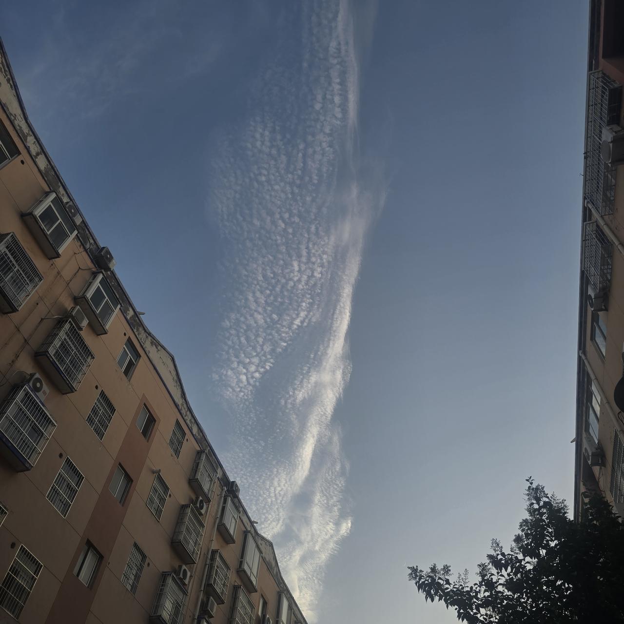《楼隙》现代诗 

两栋楼，像两个沉默的巨人

用生锈的肋骨，撑开一片天

空调