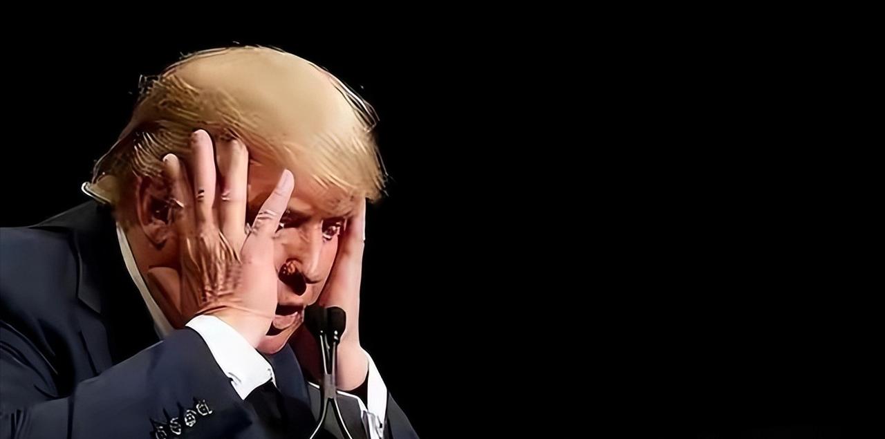 真是太阳打西边出来了，一向爱在美俄之间“走钢丝”的印度，这次居然带头要给美元体系