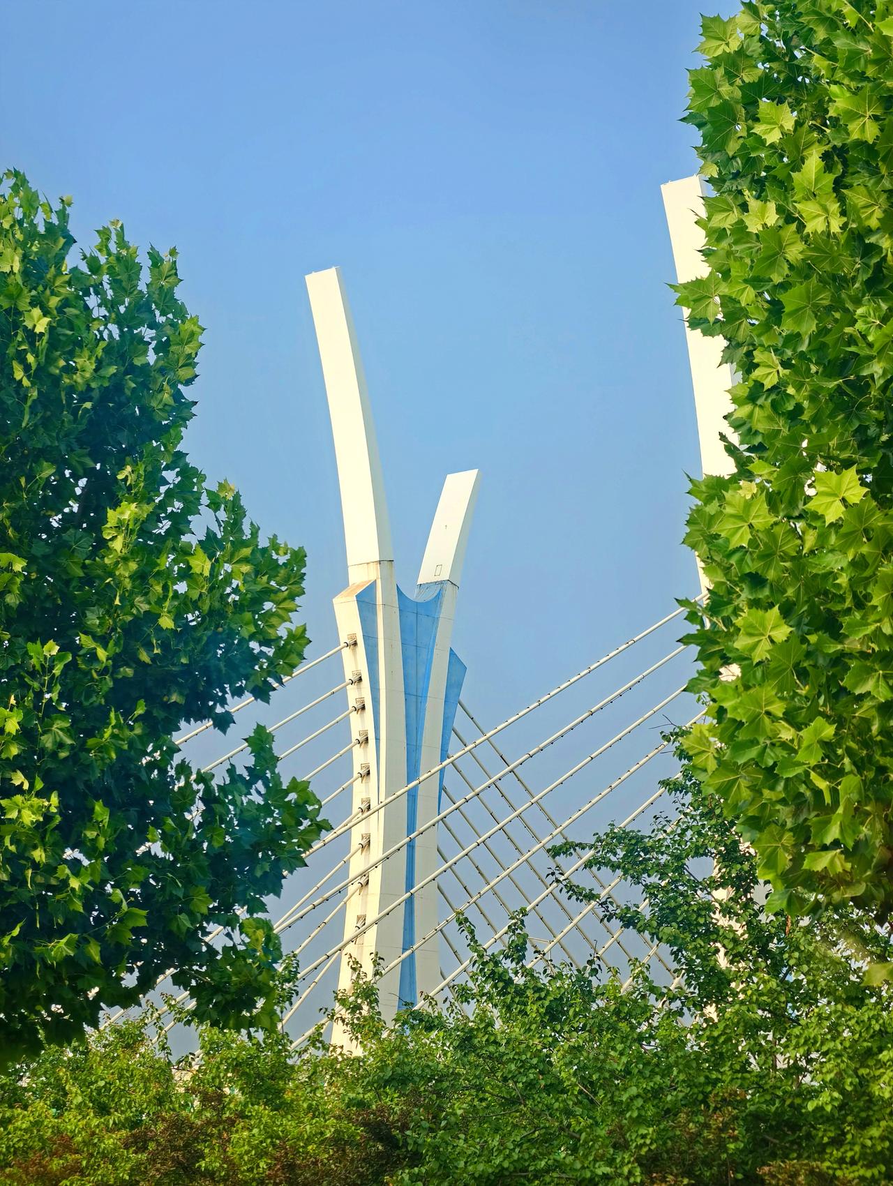分享你随手拍的风景这座邢台中兴大街跨南水北调中线总干渠景观桥，是市区标志性双塔双