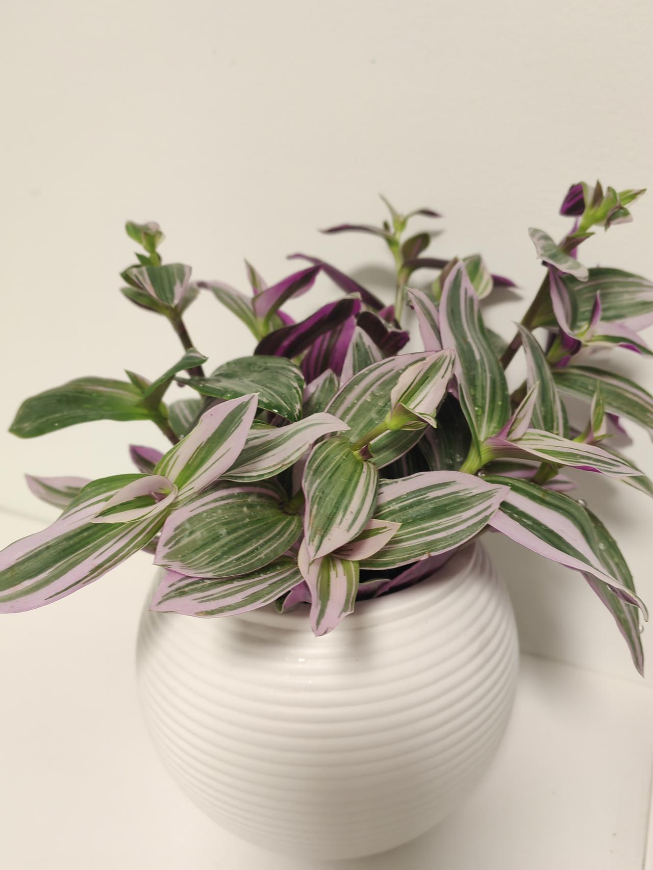 一看手机有5个未接电话，都是老二打来的，我还以为出啥事了呢。

昨天下班，又巧遇