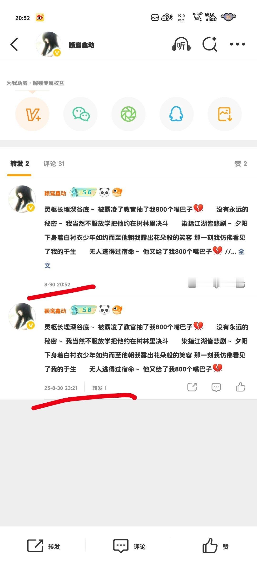 像什么神秘仪式 ​​​