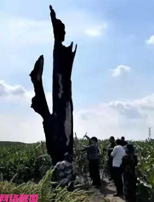 黑龙江某地有棵四百树龄的古树，此刻却被村民们烧毁，背后的原因出至于村民们嫌树碍事