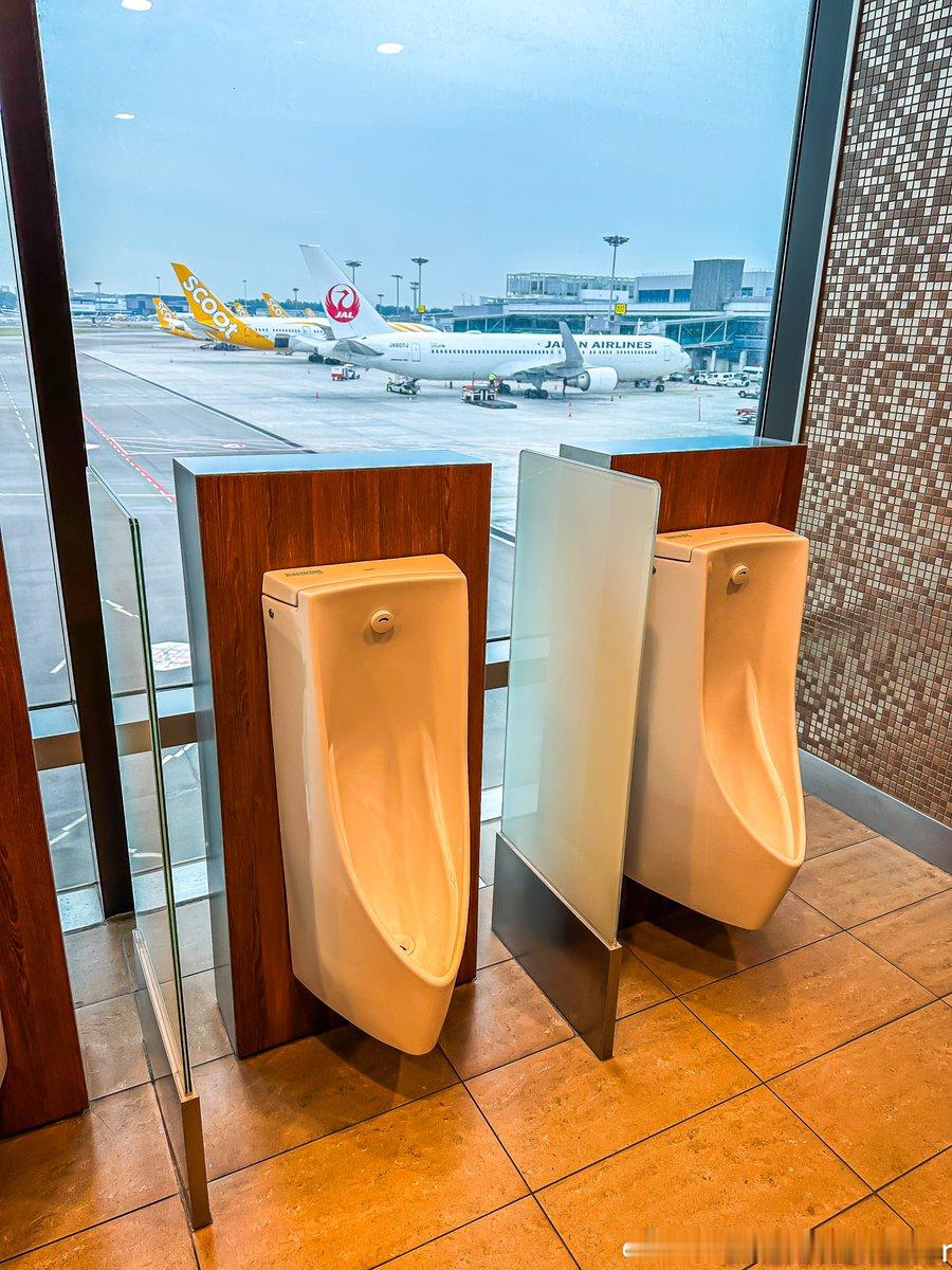 新加坡樟宜机场的洗手间，是单向玻璃吗？航空创作计划 ​​​