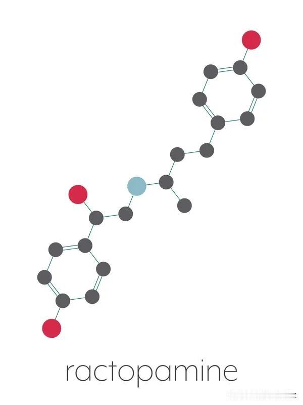 还有鱼类，特别是三文鱼等富含Omega - 3脂肪酸的鱼类，这些脂肪酸有助于维持