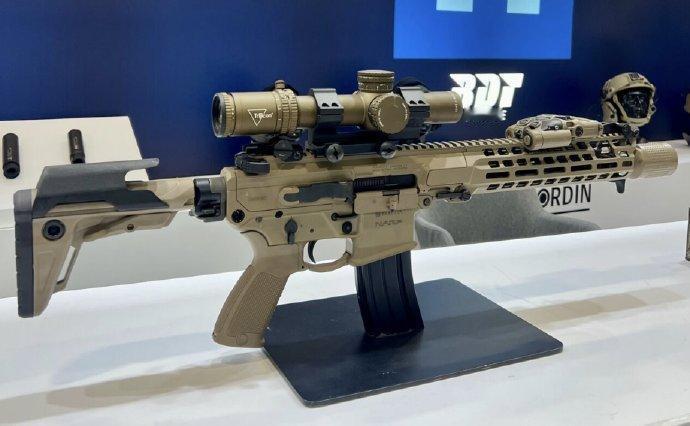 法国国家宪兵特勤队 (GIGN)已选定贝雷塔 NARP “禁卫者”（Praeto