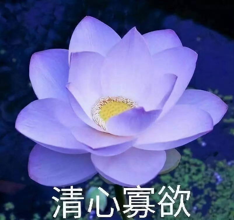 晚安