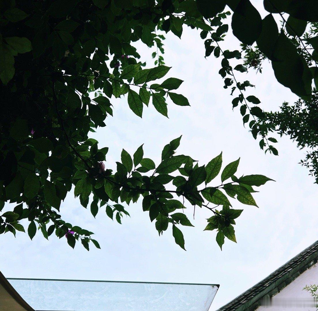 此时此刻 20260713。周一。五月廿九。温吐吐的天气农历五月最后一天初入伏，