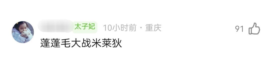 我要笑死了 