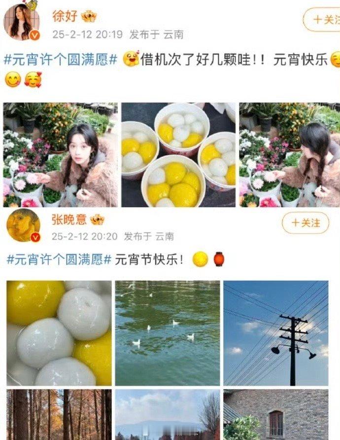 张晚意和徐好两人晒出的汤圆破的地方和摆放的都一模一样，ip地址也相同，而徐好和张