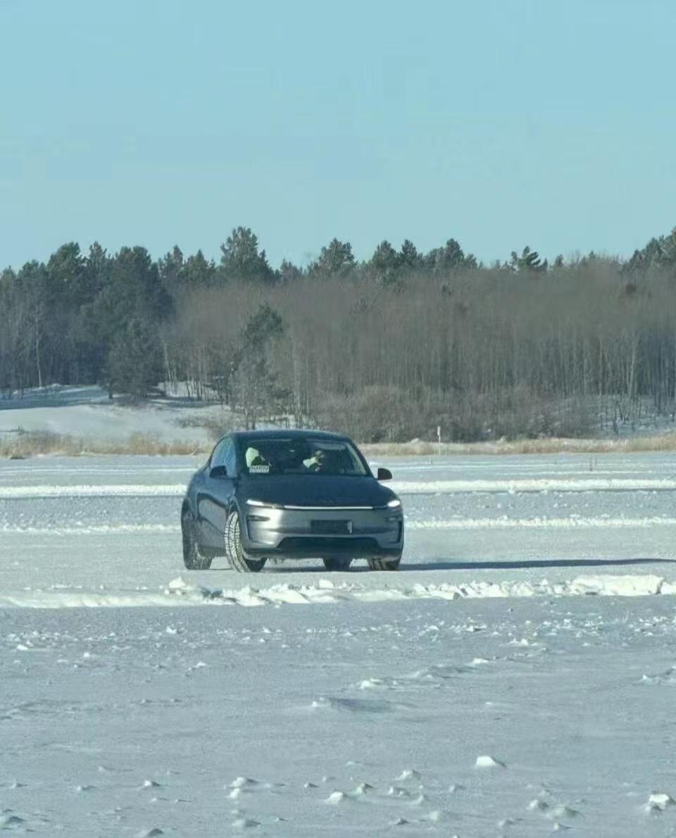 哈哈，大鼠标来了，搁那儿玩儿雪呢  