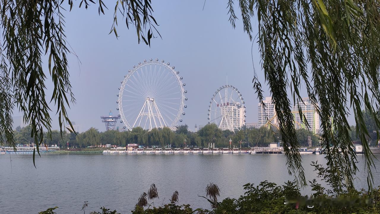 今天，我是第三次来水上公园了，
大概率是把公园转个差不多了。

天津水上公园，的
