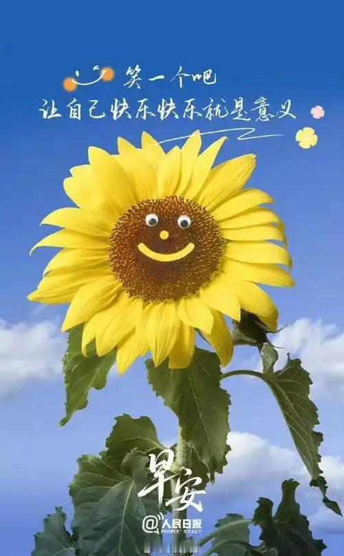 脑筋急转弯，
50只羊，冻死了10只，杀了10只，送人10只，煮了10只，最后剩