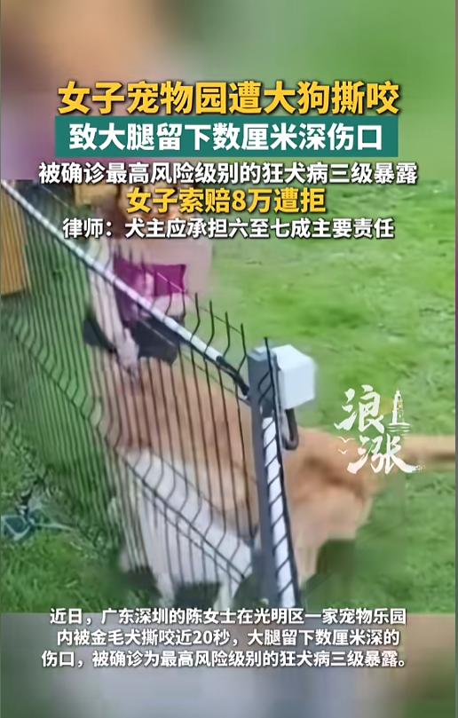“悲剧还是发生了！”7月10日报道，广东深圳，一女子在宠物乐园，自己走进了大型犬